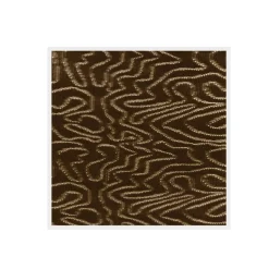 Collant Fashion|Collant Fantasia^Solidea Imbrulia 70